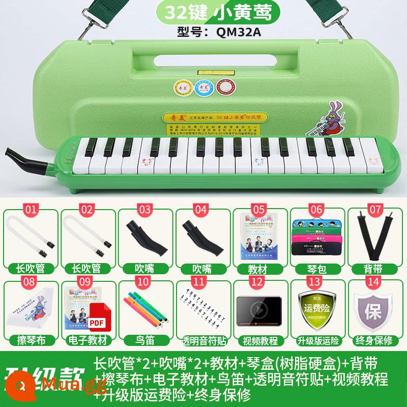 Chimei miệng đàn organ 37 phím 32 phím DHS học sinh tiểu học lớp học đặc biệt nhạc cụ trẻ em người mới bắt đầu chơi đàn organ miệng - Chimei [Little Oriole 32 Key Green] Hộp cứng rỗng + Hướng dẫn chơi + Gói quà tặng