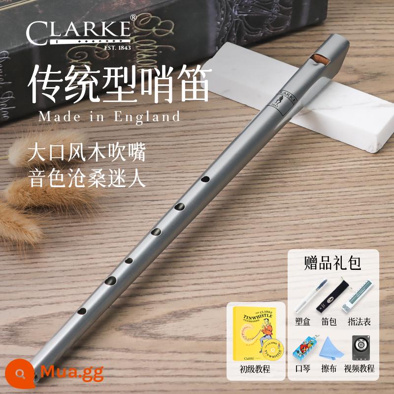 Clarke Clarke Irish Còi Sáo Thiếc Truyền Thống C-Tune D-Tune Thẳng Sáo Kim Loại Nhạc Cụ Nhập Khẩu Của Anh - D tone bạc + hướng dẫn cho người mới bắt đầu