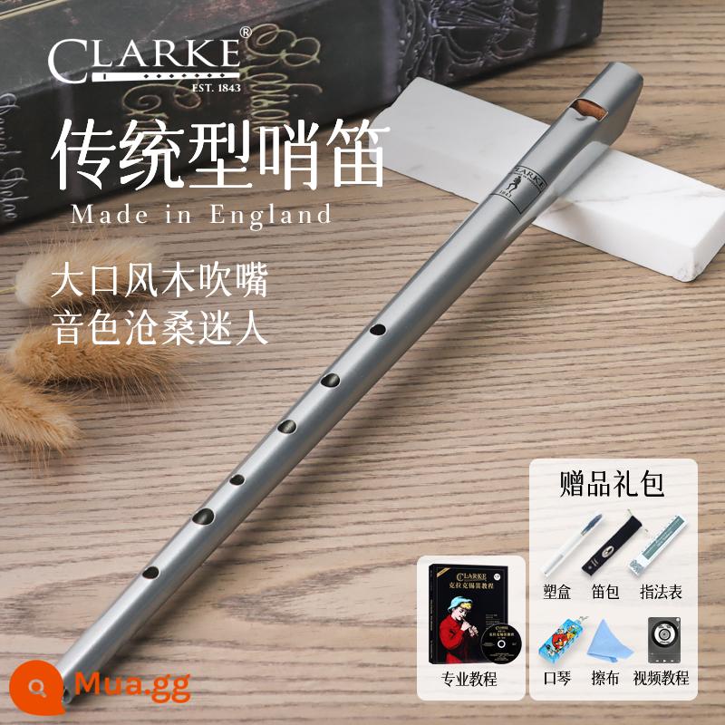 Clarke Clarke Irish Còi Sáo Thiếc Truyền Thống C-Tune D-Tune Thẳng Sáo Kim Loại Nhạc Cụ Nhập Khẩu Của Anh - D tone bạc + hướng dẫn chuyên nghiệp