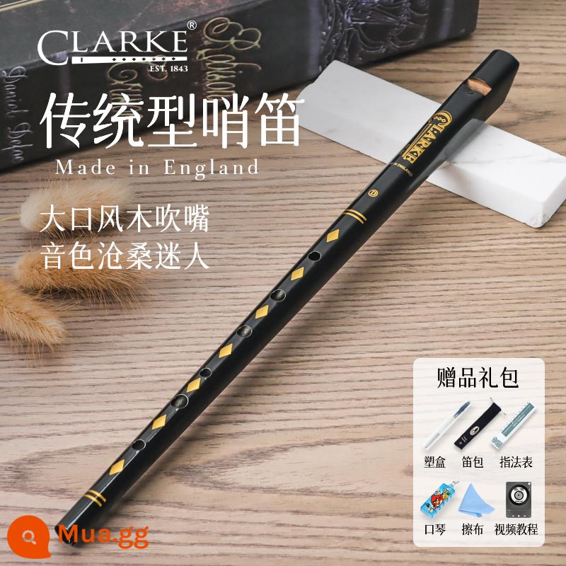 Clarke Clarke Irish Còi Sáo Thiếc Truyền Thống C-Tune D-Tune Thẳng Sáo Kim Loại Nhạc Cụ Nhập Khẩu Của Anh - D tông màu đen