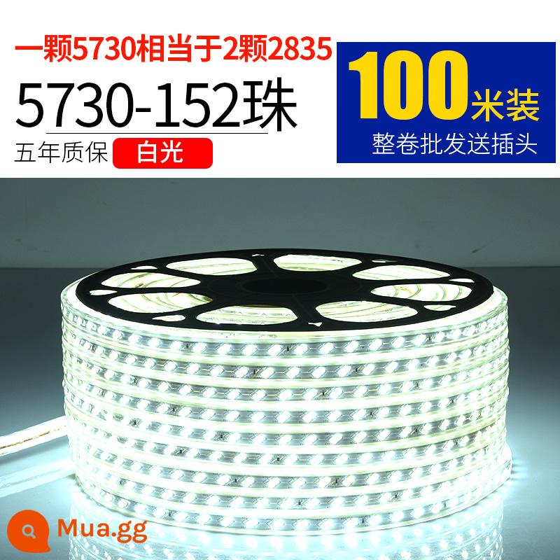 Dây Đèn LED 220V Ngoài Trời Chống Nước Tầng Hầm Đường Hầm Công Trường Chiếu Sáng Trang Trí Chiếu Sáng Dải Ánh Sáng Trắng 24V36V - 5730-152 ánh sáng trắng ngọc trai 100 mét miễn phí 10 phích cắm