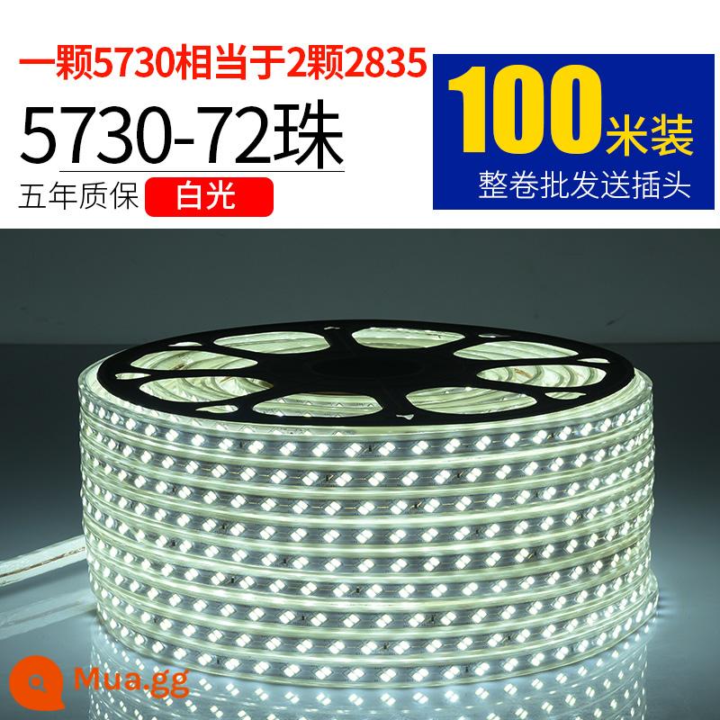 Dây Đèn LED 220V Ngoài Trời Chống Nước Tầng Hầm Đường Hầm Công Trường Chiếu Sáng Trang Trí Chiếu Sáng Dải Ánh Sáng Trắng 24V36V - 5730-72 ánh sáng trắng ngọc trai 100 mét miễn phí 10 phích cắm