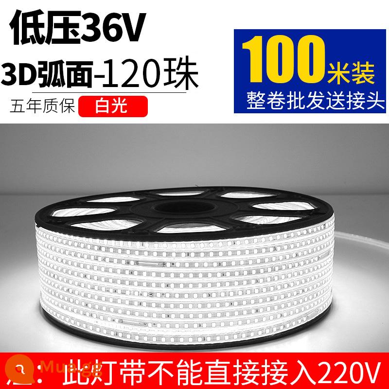 Dây Đèn LED 220V Ngoài Trời Chống Nước Tầng Hầm Đường Hầm Công Trường Chiếu Sáng Trang Trí Chiếu Sáng Dải Ánh Sáng Trắng 24V36V - Điện áp thấp 36V-120 ánh sáng trắng ngọc trai 100 mét 10 cáp nối