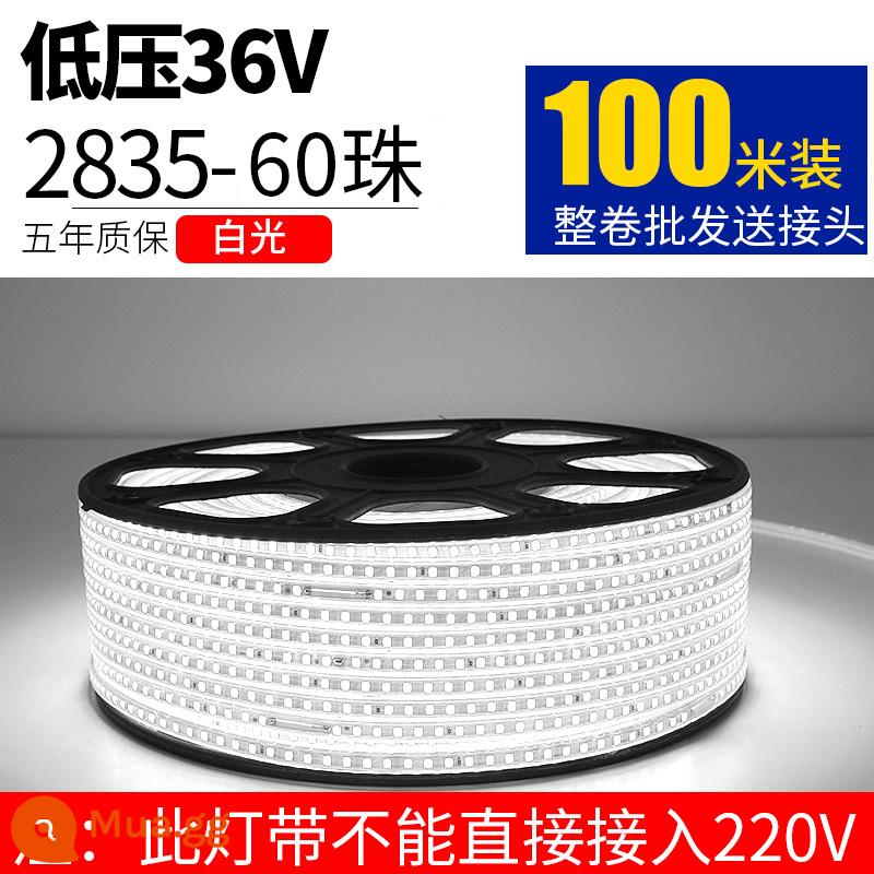 Dây Đèn LED 220V Ngoài Trời Chống Nước Tầng Hầm Đường Hầm Công Trường Chiếu Sáng Trang Trí Chiếu Sáng Dải Ánh Sáng Trắng 24V36V - Điện áp thấp 36V-60 ánh sáng trắng ngọc trai 100 mét 10 dây nối