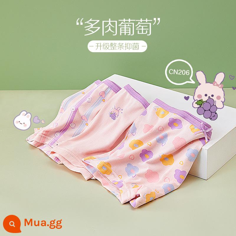 Quần lót bé gái đậu đỏ kháng khuẩn kiểu mỏng quần đùi trẻ em cotton nguyên chất bên trong đáy quần quần đùi bé gái tam giác không có PP - CN206-Nho Mọng Nước (Phong Cách Góc Dẹt) -Nâng cấp toàn bộ khả năng kháng khuẩn