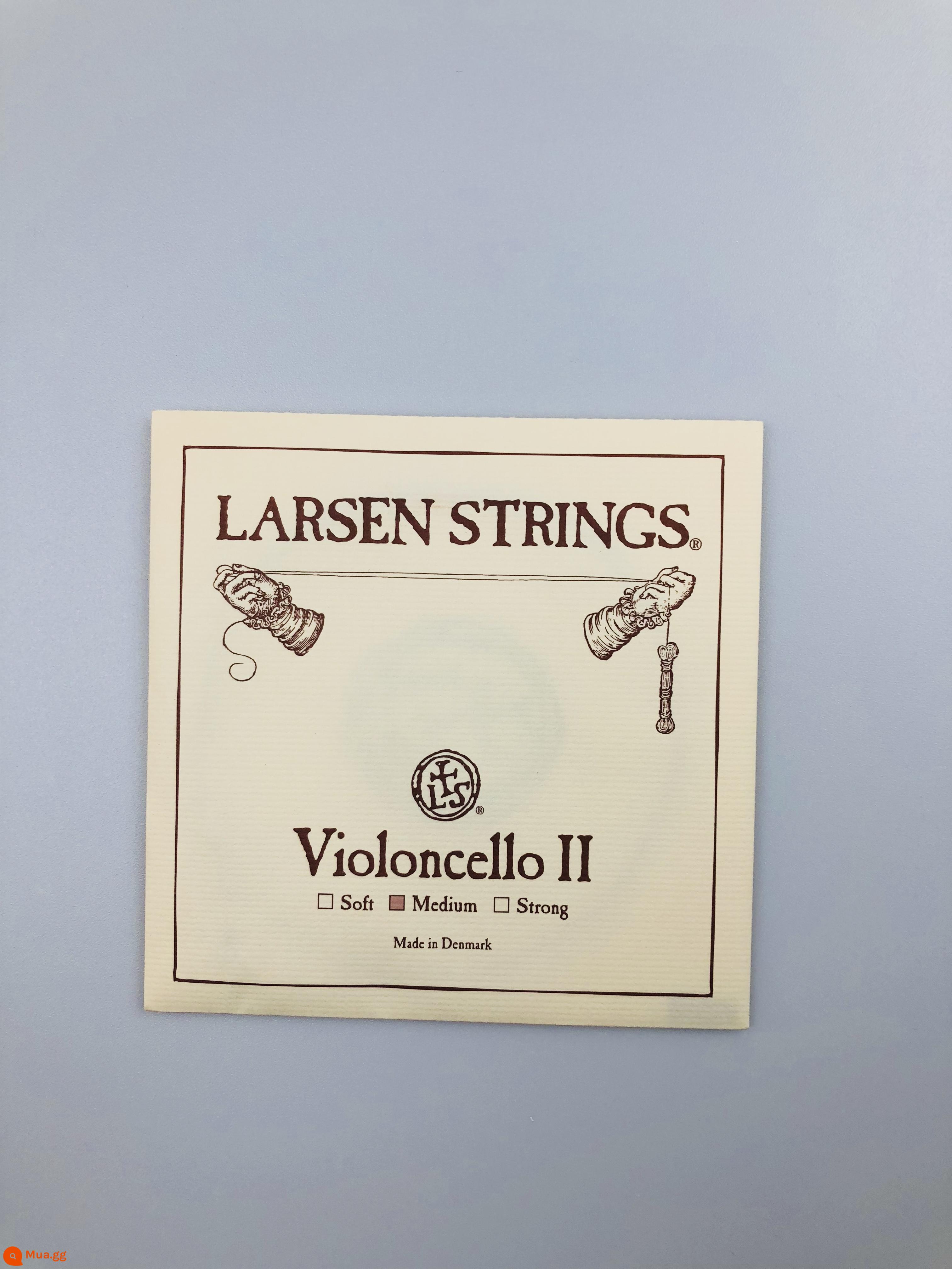 Larsen Larsen A/D String+Thomamatik Spirocore G/C Strine String String - Dây D tiêu chuẩn Larsen 2 dây