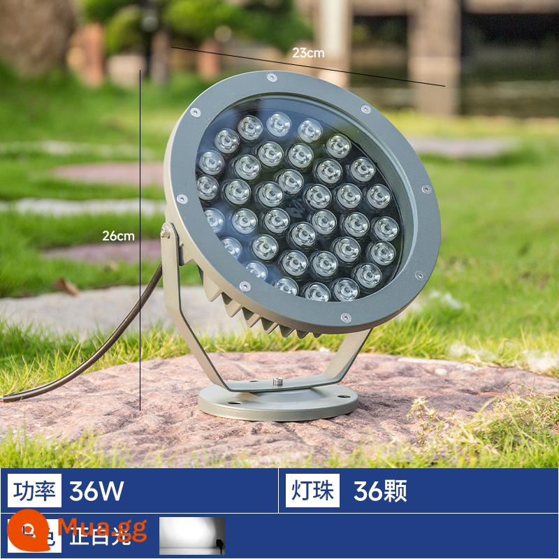 Máy Chiếu LED Ánh Sáng Ngoài Trời Chống Thấm Nước Biệt Thự Sân Vườn Máy Chiếu Ánh Sáng Sân Vườn Bãi Cỏ Chèn Chôn Ánh Sáng Công Viên Cây Trang Trí Ánh Sáng - Ánh sáng trắng dương 36W