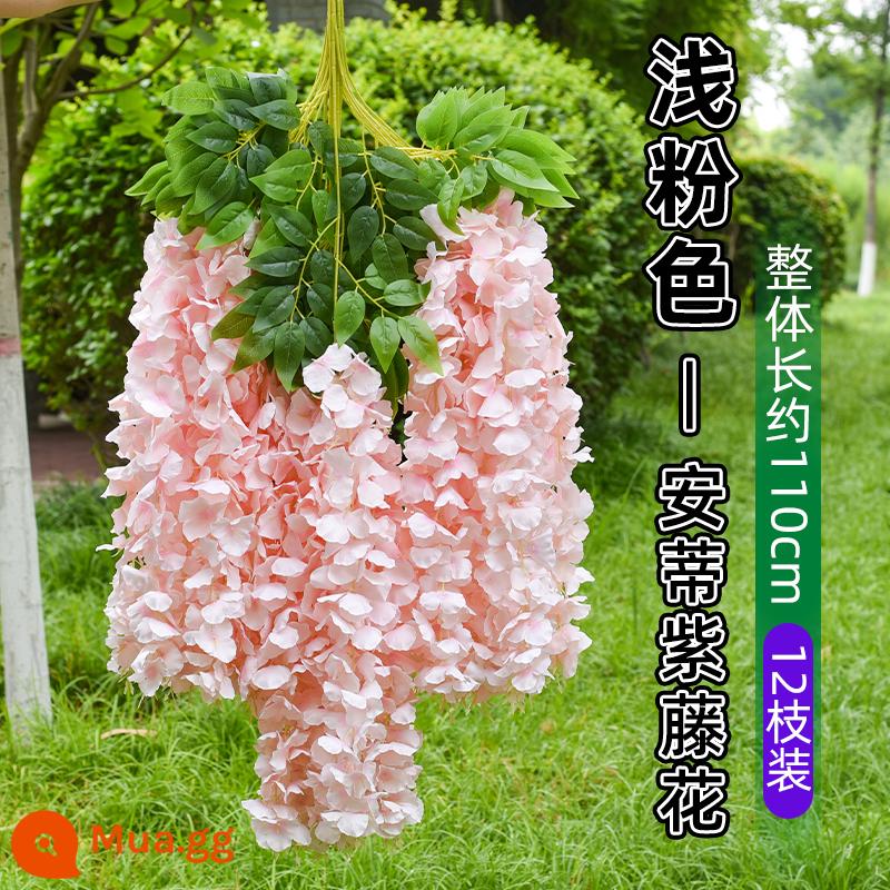 Mô phỏng hoa tử đằng trang trí hoa treo hoa giả mây tím trong nhà đám cưới trần nhựa cây nho treo - Anti Wisteria [Siêu Đậm Đặc] Hồng Nhạt (6 miếng)