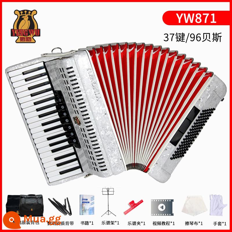 Tianjin Parrot Flame Music Music Trường tiểu học Người lớn 60/96/120 Bestebus biểu diễn Giới thiệu Slayer Wind Piano 3 - 96 bass/37 phím YW871 trắng + gói quà