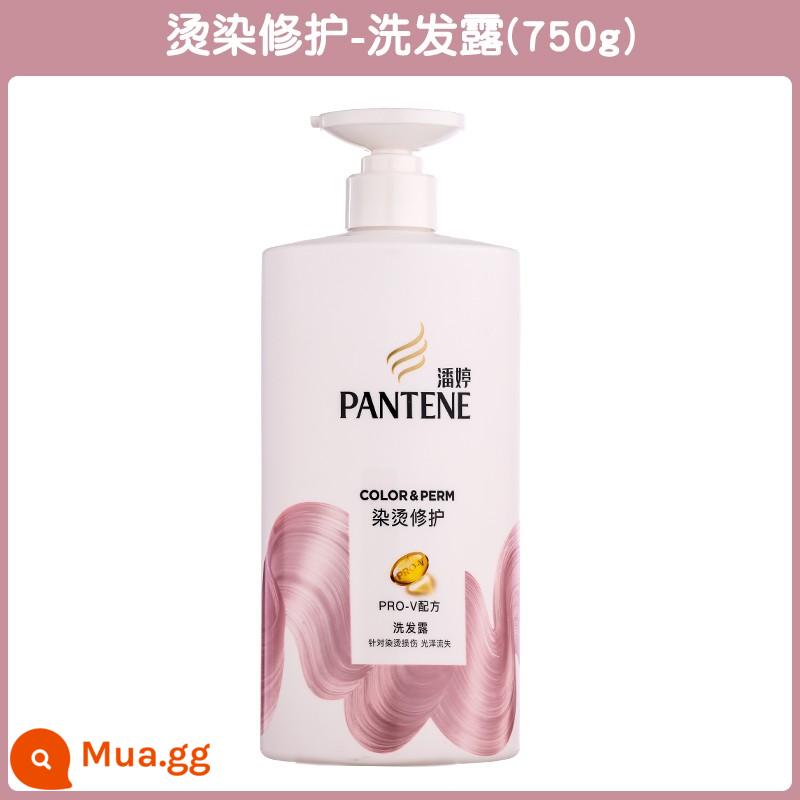 Đặc biệt Clearance Pantene Lotion Repair Dầu Gội Kiểm Soát Dầu Lông Tơ Cải Thiện Dầu Gội Dầu Gội Mượt Mượt - Dầu gội phục hồi thuốc nhuộm và uốn [750g]