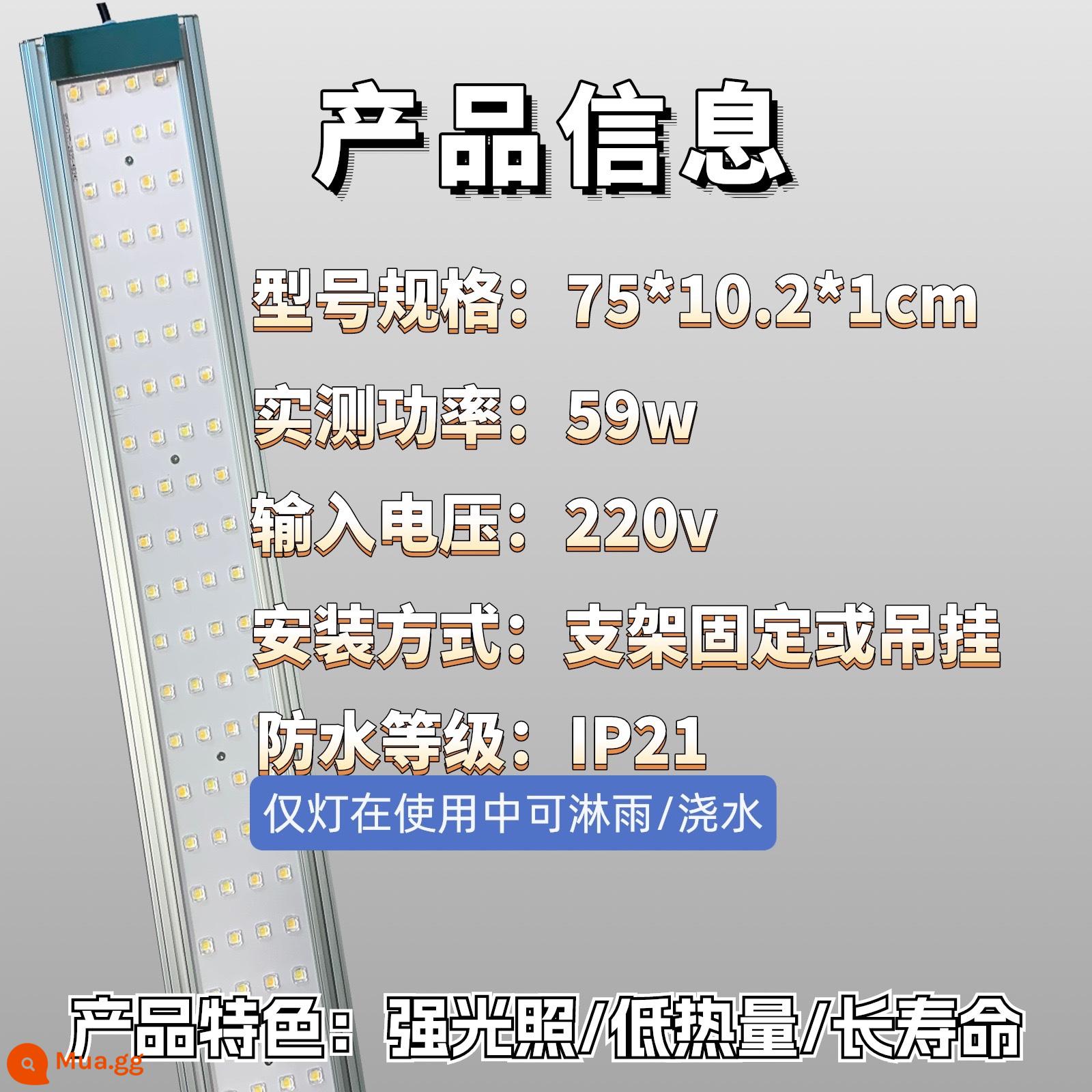 Magic Bird LED mọng nước lấp đầy ánh sáng chống gian lận tô màu trong nhà nhà kính đặc biệt toàn phổ ánh sáng tăng trưởng thực vật - Đặt chỗ—Hàng đèn ống kính 75cm (Ra90/Chống mưa)