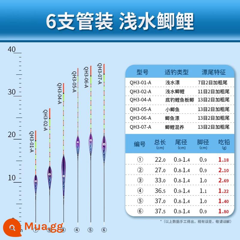 Phao câu cá hoang dã độ nhạy cao Xiaofengxian QH táo bạo và bắt mắt nước nông cá diếc cá chép cá chép bạc bộ phao đầy đủ - Gói 6 con (cá diếc nước cạn) nước cạn