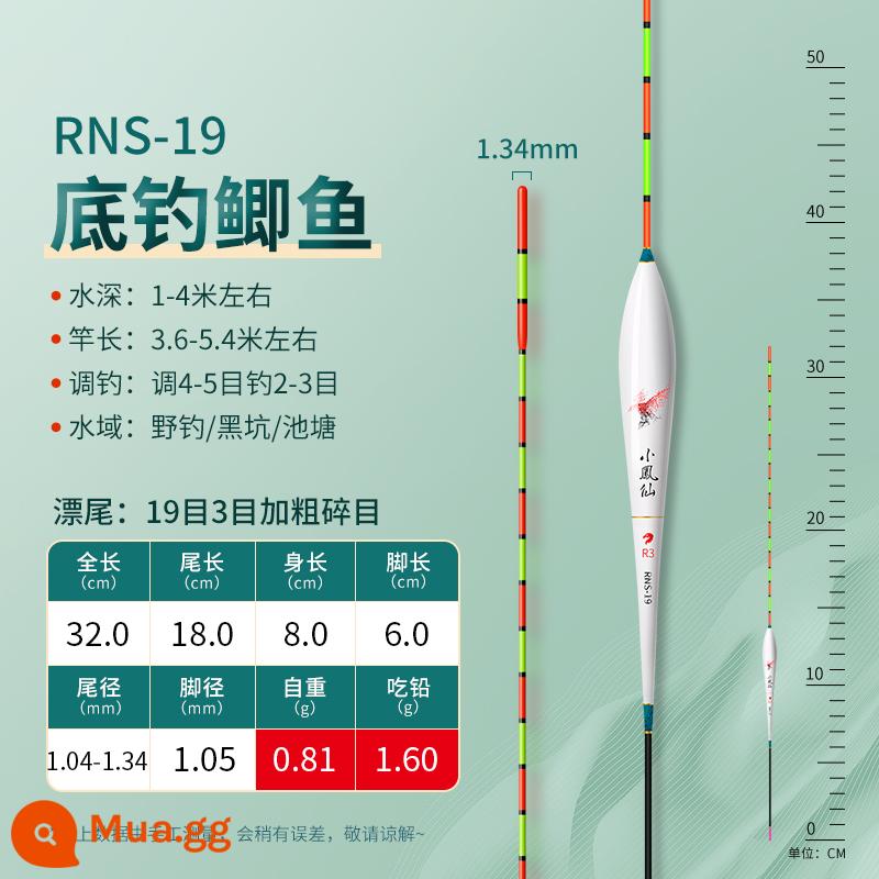 Phao câu cá chép mắt nhỏ Xiaofengxian chính hãng có độ nhạy cao bắt mắt nano phao câu cá hoang dã phao cá chống nước - R19 chì 1.6g câu cá chép đáy và cá diếc (19 lưới, 3 lưới nhỏ đậm)