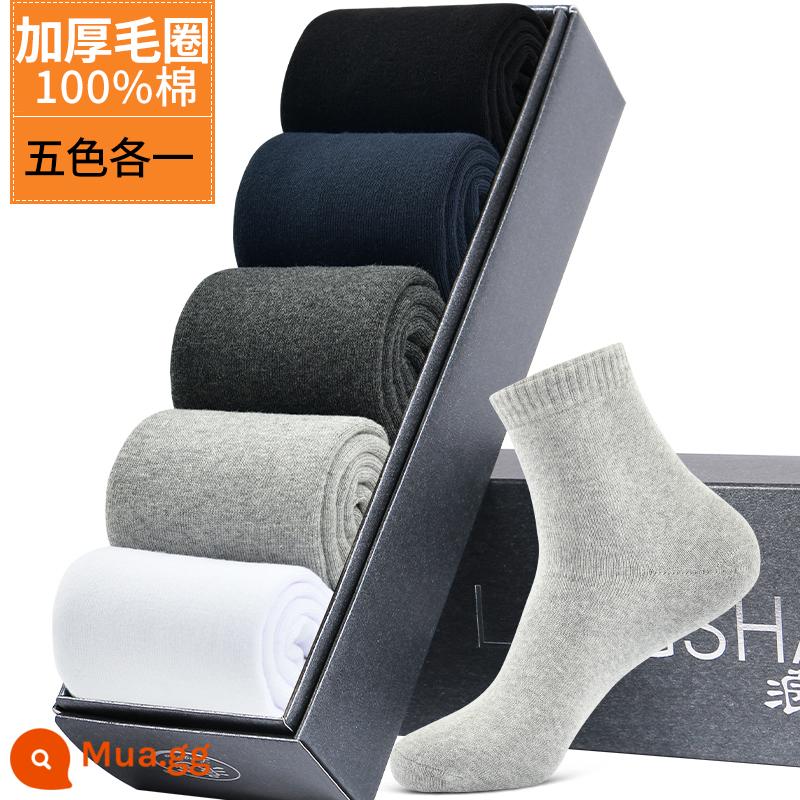 Vớ Dày Nam Mùa Đông Plus Nhung Ống Dài Ấm Giữa Ống Vớ Nam Khăn Cotton Mùa Đông Dày Vớ Nam bông Nguyên Chất - Mẫu nam màu trơn cộng với nhung và dày (mỗi loại 5 màu), tổng cộng 5 đôi