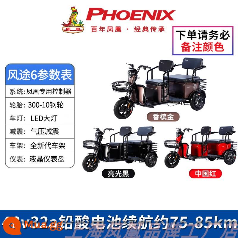 Xe ba bánh điện Phoenix, xe đưa đón hộ gia đình nhỏ cho trẻ em, xe ba bánh điện cho người già, xe ba bánh điện cho trẻ em - Nhận xét màu sắc của Fengtu 6 (pin axit chì 48v32a khoảng 55km)