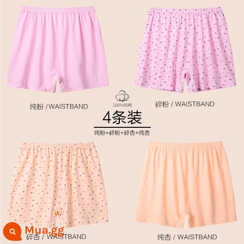 Nam Cực Mẹ Quần Lót Cotton Nguyên Chất Cao Cấp Size Lớn Trung Niên Và Người Cao Tuổi Rời Cotton Mùa Hè Bà Già Quần Short Boxer - [4 món] Mơ nguyên chất + bột nguyên chất + bột nghiền + mơ nghiền