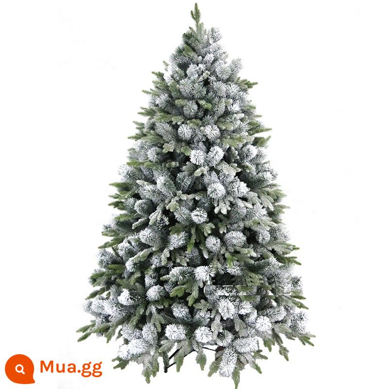 Phiên bản Mỹ của lá thông PE Cây thông Noel cửa sổ sang trọng Cây tuyết được mã hóa Mô phỏng cây thông Noel Cây thông Noel Trang trí Giáng sinh - Kim thông PE+Mã hóa cao cấp 1,8 mét