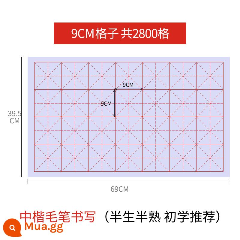 Lưới gạo Liupintang Giấy thư pháp Xuân giấy làm việc đặc biệt giấy với cọ lưới thực hành giấy bút lông giấy từ mới bắt đầu học sinh tiểu học giấy thô nửa nướng bán chín thô Xuan Mige bốn chân folio - 100 tờ, khổ lưới 9cm*28 (nấu chín một nửa, khuyên dùng cho người mới bắt đầu)