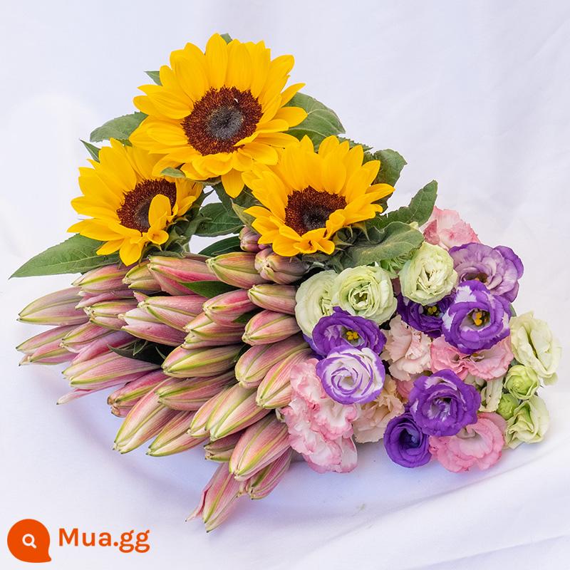 Vân Nam Đế Hoa Tóc Thẳng Nước Hoa Lily Tươi Cắt Hoa Hoa Thật Hoa Hướng Dương Hoa Hồng Nhà Bình Thủy Canh - 5 hoa huệ + 3 hoa hướng dương + 10 hoa cát tường