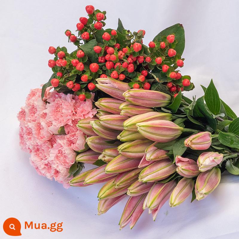 Vân Nam Đế Hoa Tóc Thẳng Nước Hoa Lily Tươi Cắt Hoa Hoa Thật Hoa Hướng Dương Hoa Hồng Nhà Bình Thủy Canh - 5 hoa huệ + 5 đậu đỏ + 10 hoa cẩm chướng