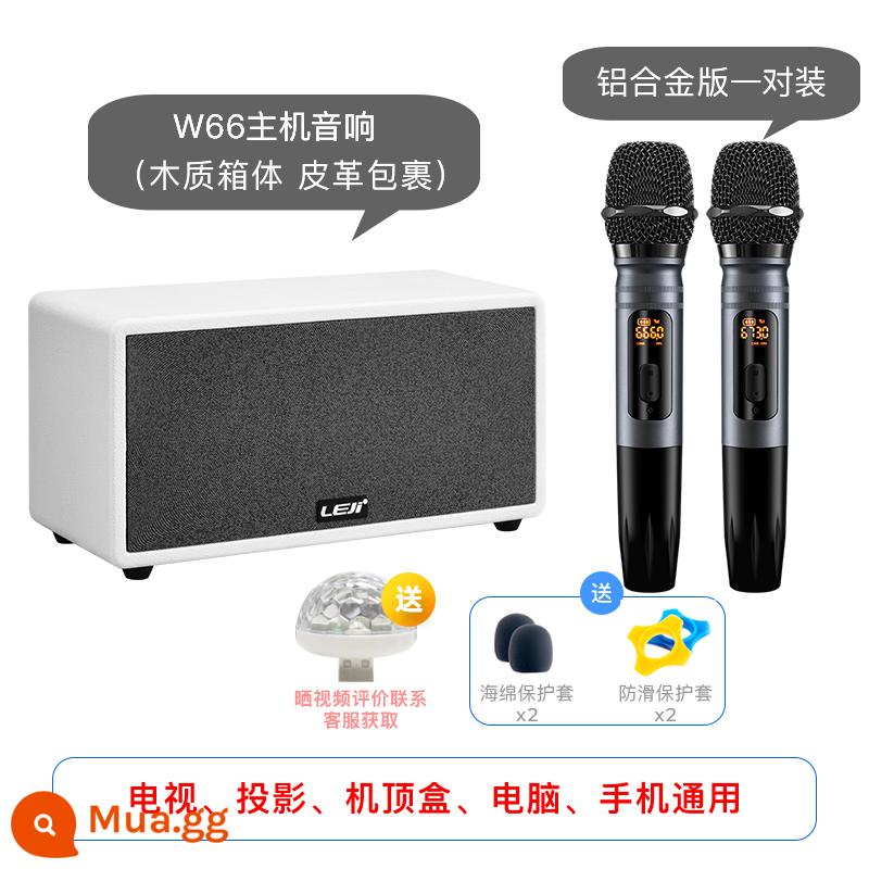 Leji W66 Family KTV Đặt - Micro hợp kim nhôm màu xám W66+ (cặp)