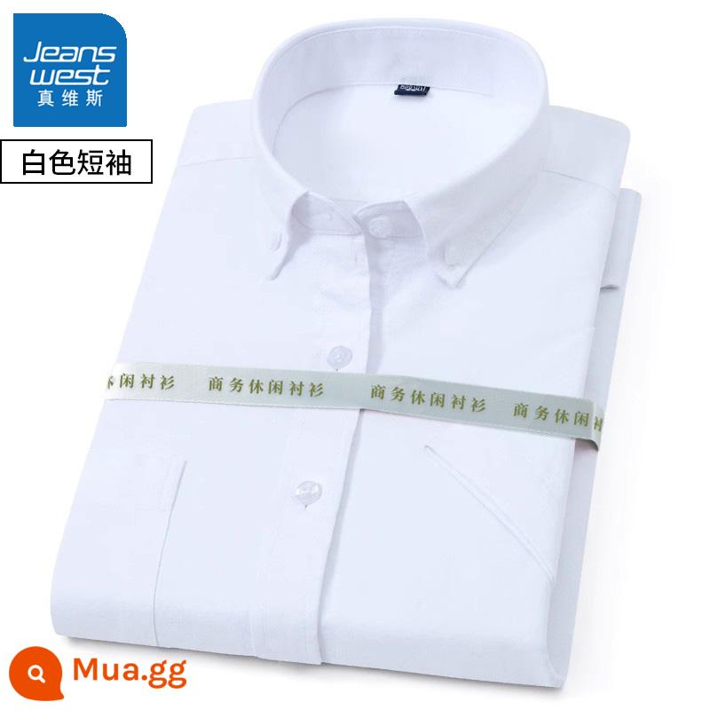 Mùa xuân và mùa thu nam dài tay cotton Oxford áo sơ mi trắng công sở bình thường đáy sọc xanh áo sơ mi áo khoác inch - 1 chiếc 59 [tay ngắn màu trắng] cotton nguyên chất