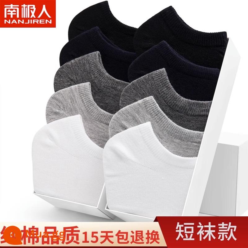 Tất Nam Cực Đến Giữa Bắp Chân Nam Phong Cách Mùa Xuân Cotton Nguyên Chất Thấm Hút Mồ Hôi Thoáng Khí Mỏng Màu Đen Công Sở Tất Dài Và Ngắn Mùa Hè - Tất phối màu*15 [15 đôi cùng kiểu dáng sẽ được gửi] tổng cộng 30 đôi