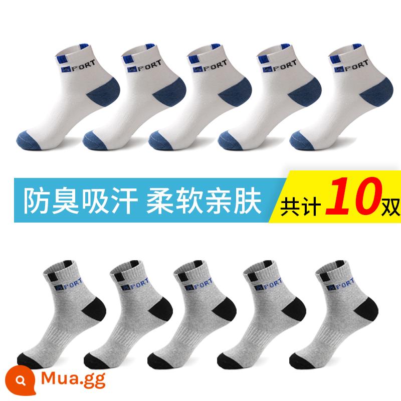 Vớ Nam Cực Hấp thụ và khử mùi mồ hôi giữa Tube Mid -Tube, Chất chống cotton nguyên chất mùa thu và mùa đông dày - [Vớ giữa bắp chân mùa thu đông 10 đôi] trắng xanh*5+xám*5