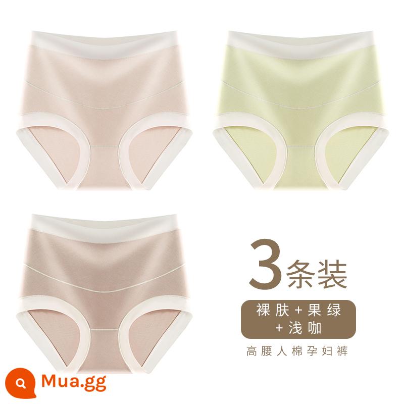 Quần lót bà bầu Nam Cực chất liệu cotton nguyên chất kháng khuẩn đáy quần lưng cao hình chữ U hỗ trợ bụng bầu sớm, giữa và cuối thai kỳ quần short đầu H - Da trần + xanh trái cây + cà phê nhạt (eo cao nâng đỡ bụng hình chữ U)