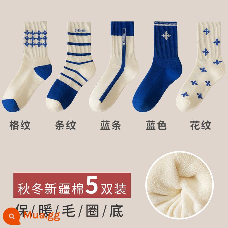 Vớ nữ thu đông giam dày ấm ống dài khăn giữa ống tầng vớ cotton giấc ngủ Nhật Bản Plus nhung mùa đông - [5 Đôi Sọc Xanh Trắng] Tất Terry