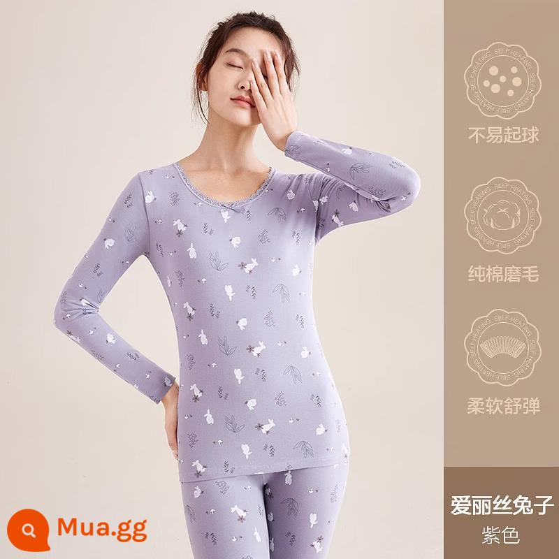 Hengyuanxiang quần áo mùa thu vệ sinh quần nữ cotton nguyên chất phù hợp với sưởi ấm quần áo cô gái học sinh đáy áo len cotton mỏng phần mùa đông - Thỏ Alice (Tím)