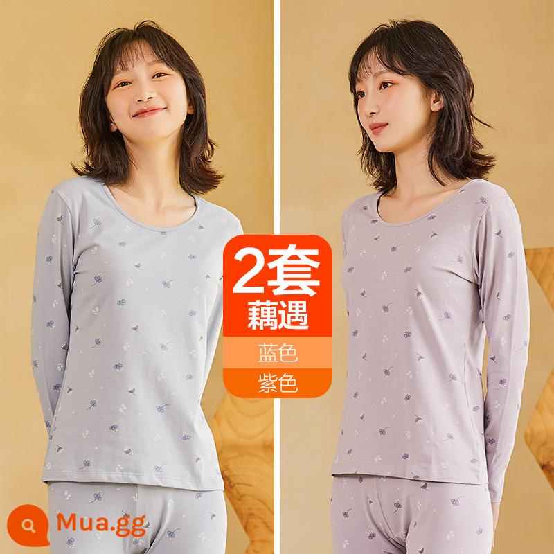 Hengyuanxiang quần áo mùa thu vệ sinh quần nữ cotton nguyên chất phù hợp với sưởi ấm quần áo cô gái học sinh đáy áo len cotton mỏng phần mùa đông - Âu Vũ (xanh + tím)