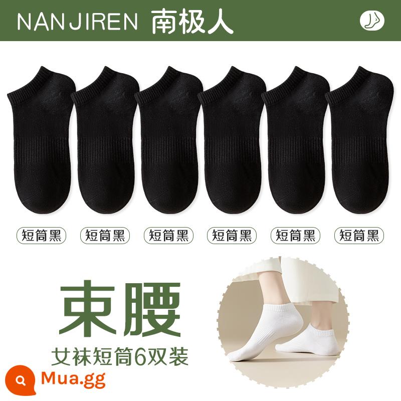 Tất nữ Tất dài đến bắp chân nữ mùa xuân thu đông Tất cotton nguyên chất không xương Tất thể thao mùa hè Tất ngắn nữ màu trắng nam - [Nòng ngắn] 6 màu đen