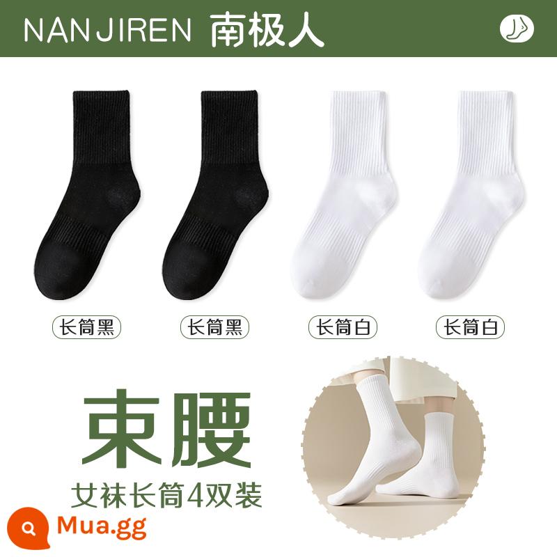 Tất nữ Tất dài đến bắp chân nữ mùa xuân thu đông Tất cotton nguyên chất không xương Tất thể thao mùa hè Tất ngắn nữ màu trắng nam - [Ống dài] 2 đen + 2 trắng