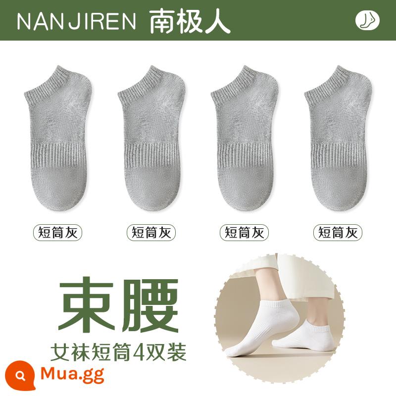 Tất nữ Tất dài đến bắp chân nữ mùa xuân thu đông Tất cotton nguyên chất không xương Tất thể thao mùa hè Tất ngắn nữ màu trắng nam - [Nòng ngắn] 4 màu xám