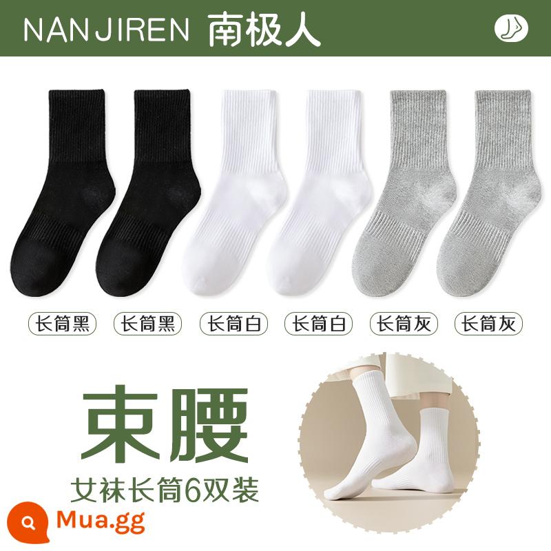 Tất nữ Tất dài đến bắp chân nữ mùa xuân thu đông Tất cotton nguyên chất không xương Tất thể thao mùa hè Tất ngắn nữ màu trắng nam - [Ống dài] 2 đen + 2 trắng + 2 xám