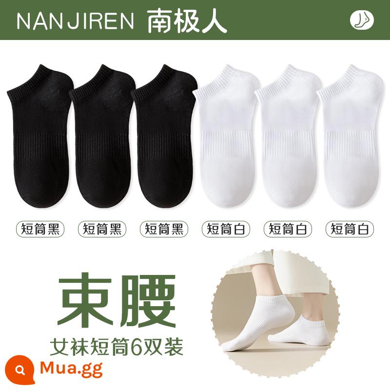 Tất nữ Tất dài đến bắp chân nữ mùa xuân thu đông Tất cotton nguyên chất không xương Tất thể thao mùa hè Tất ngắn nữ màu trắng nam - [Nòng ngắn] 3 đen + 3 trắng