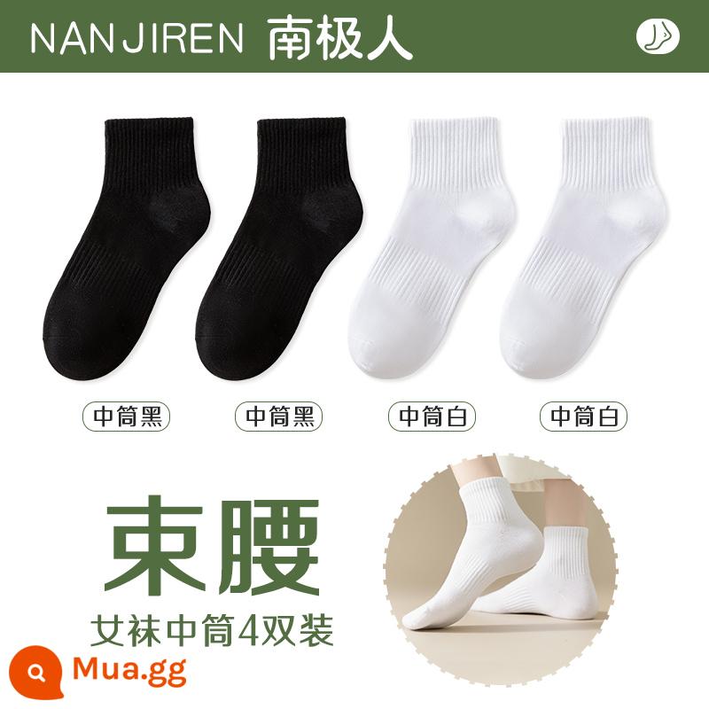 Tất nữ Tất dài đến bắp chân nữ mùa xuân thu đông Tất cotton nguyên chất không xương Tất thể thao mùa hè Tất ngắn nữ màu trắng nam - [Ống giữa] 2 đen + 2 trắng