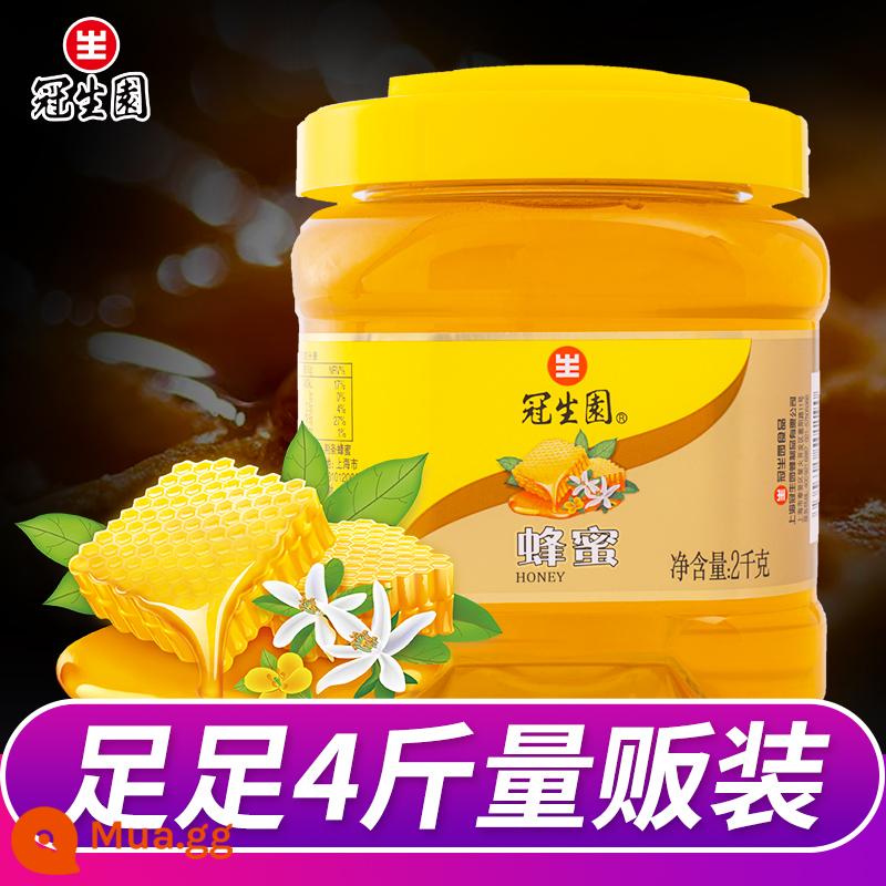 Guansheng Garden Honey Honey Portable Pointed Mouth Squeez - 2000g mật ong [Đã bán số lượng 4 catties, không có quà khi mua]