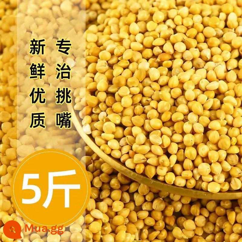 Bird Grain Shinhuang Thung lũng vẹt ăn ăn Food Food Birds With Shelling Xiaomi Tiger Skin Xuanfeng Peony Food 5 Catties - 2501 gam