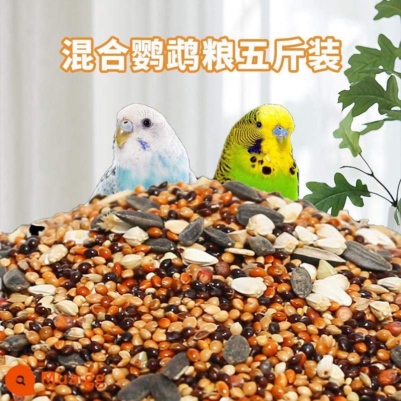 Tiger Leather Parrot Feed Xuanfeng Bird Food với Shell, Huangguzi Xiaomi Peony Birds Five -Color hỗn hợp Bird - 2500g