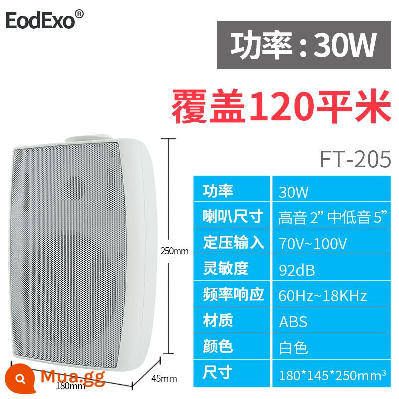 EodExo 704 âm thanh treo tường khuôn viên phát sóng công cộng lớp học loa treo tường nhạc nền còi - FT-205 màu trắng