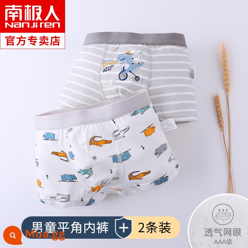 Quần lót bé trai mùa hè mỏng phần trẻ em boxer modal lụa lưới lớn cho trẻ em quần đùi 100% cotton - KJ682[2 gói]