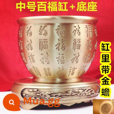 Lucky Jinbao Baifu Xi lanh đồng Đồng thau nguyên chất Xi lanh gạo Dồi dào Vật trang trí Phòng khách lớn Trang trí nội thất Con heo đất nhỏ - [Xi lanh Baifu cỡ trung bình] Đường kính 9,5 cm + Đế đi kèm với hạt chuyển và đồng xu Năm Hoàng đế + Yuanbao