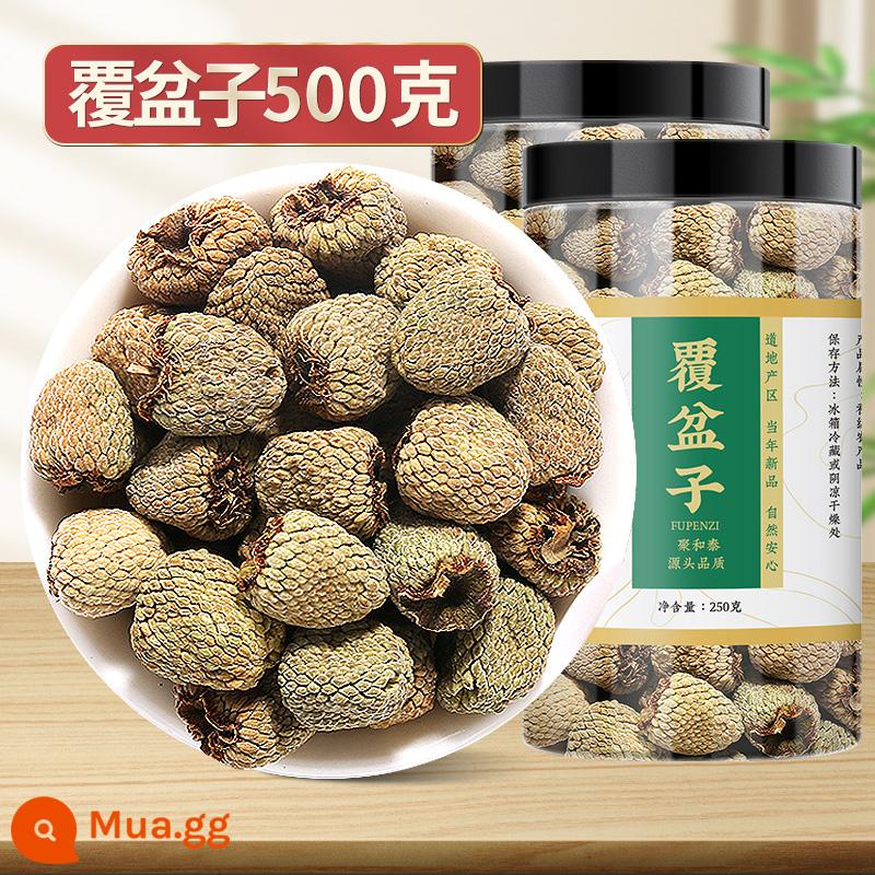 Raspberry Thuốc thảo dược Trung Quốc siêu xác thực với Cistanche Eucommia hoang dã Cuscuta Tinh dịch Shayuanzi Goji Berry Dogwood - [Đã chọn] Quả mâm xôi 500g có kèm dâu tằm hoặc dâu tằm