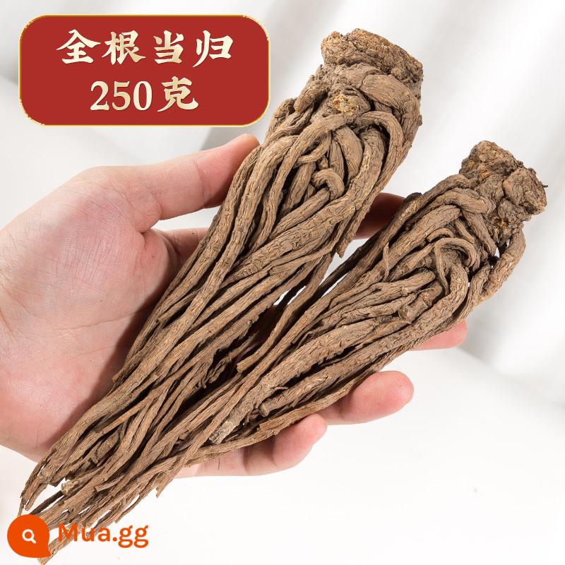 Danggui Minxian Angelica toàn bộ rễ 500g Cam Túc Dược liệu Trung Quốc hoang dã loại đặc biệt chính hãng viên Danggui Astragalus Codonopsis - Củ bạch chỉ nguyên củ 250g