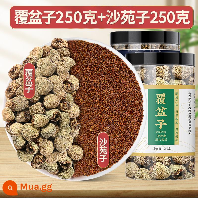 Raspberry Thuốc thảo dược Trung Quốc siêu xác thực với Cistanche Eucommia hoang dã Cuscuta Tinh dịch Shayuanzi Goji Berry Dogwood - [Đã chọn] Quả mâm xôi 250g + Shayuanzi 250g