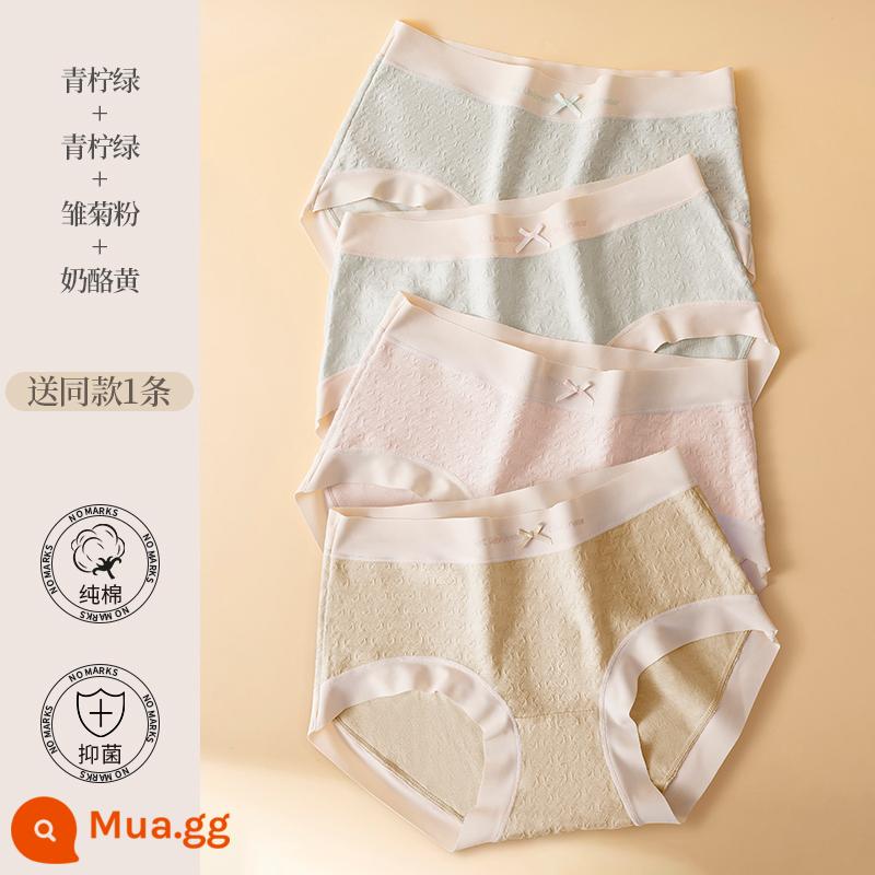 Catman Quần Lót Nữ Cotton Giữa Eo Nâng Hông Gợi Cảm Thoáng Khí Cotton Kháng Khuẩn Đáy Quần Size Lớn Quần Short Tam Giác Bé Gái - [5 Gói] Xanh chanh + Xanh chanh + Bột hoa cúc + Vàng phô mai + Nhận ngẫu nhiên một miếng cùng kiểu