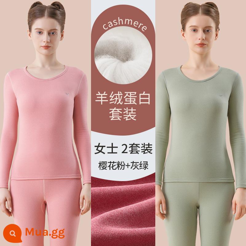 Catman Lụa Cashmere Làm Nóng Quần Áo Nữ Dày Plus Quần Lót Nhung Mặc Quần Áo Mùa Thu Bộ Quần Vệ Sinh Mùa Đông Đáy Áo Sơ Mi - Sakura hồng + xanh xám