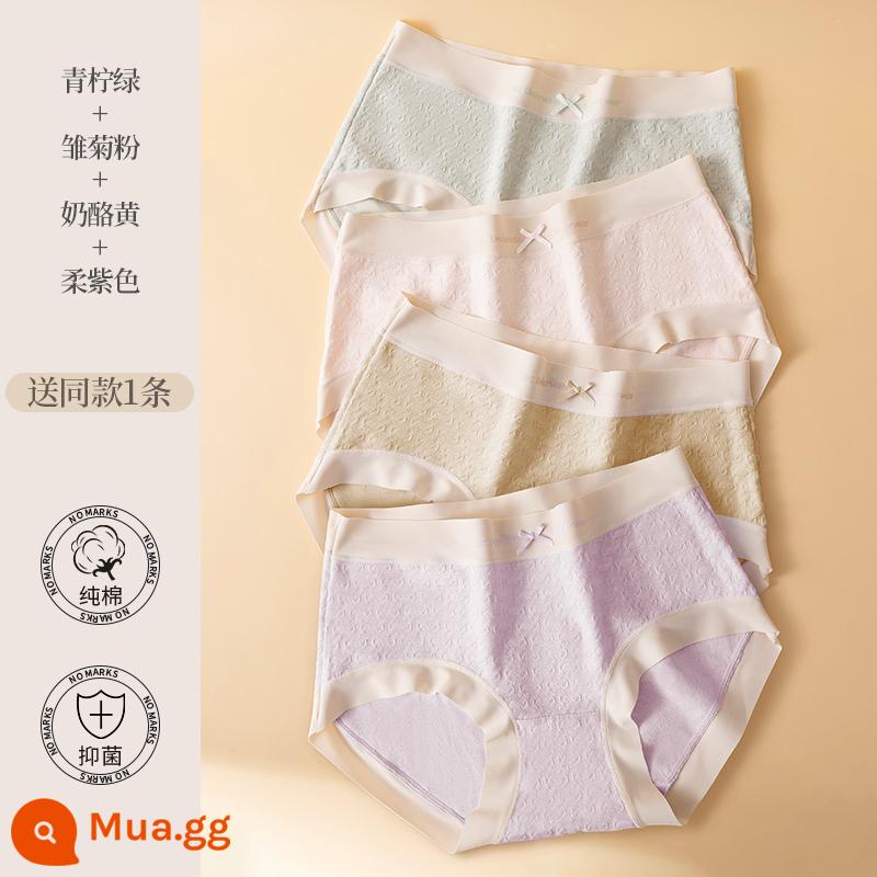 Catman Quần Lót Nữ Cotton Giữa Eo Nâng Hông Gợi Cảm Thoáng Khí Cotton Kháng Khuẩn Đáy Quần Size Lớn Quần Short Tam Giác Bé Gái - [5 Gói] Xanh chanh + Hồng cúc + Vàng phô mai + Tím dịu + Nhận ngẫu nhiên một chiếc cùng kiểu